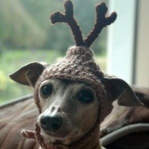 Meet your Posher, Renee